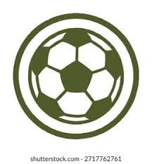 双杀火箭 杨瀚森头部受伤 杜兰特升至历史第七