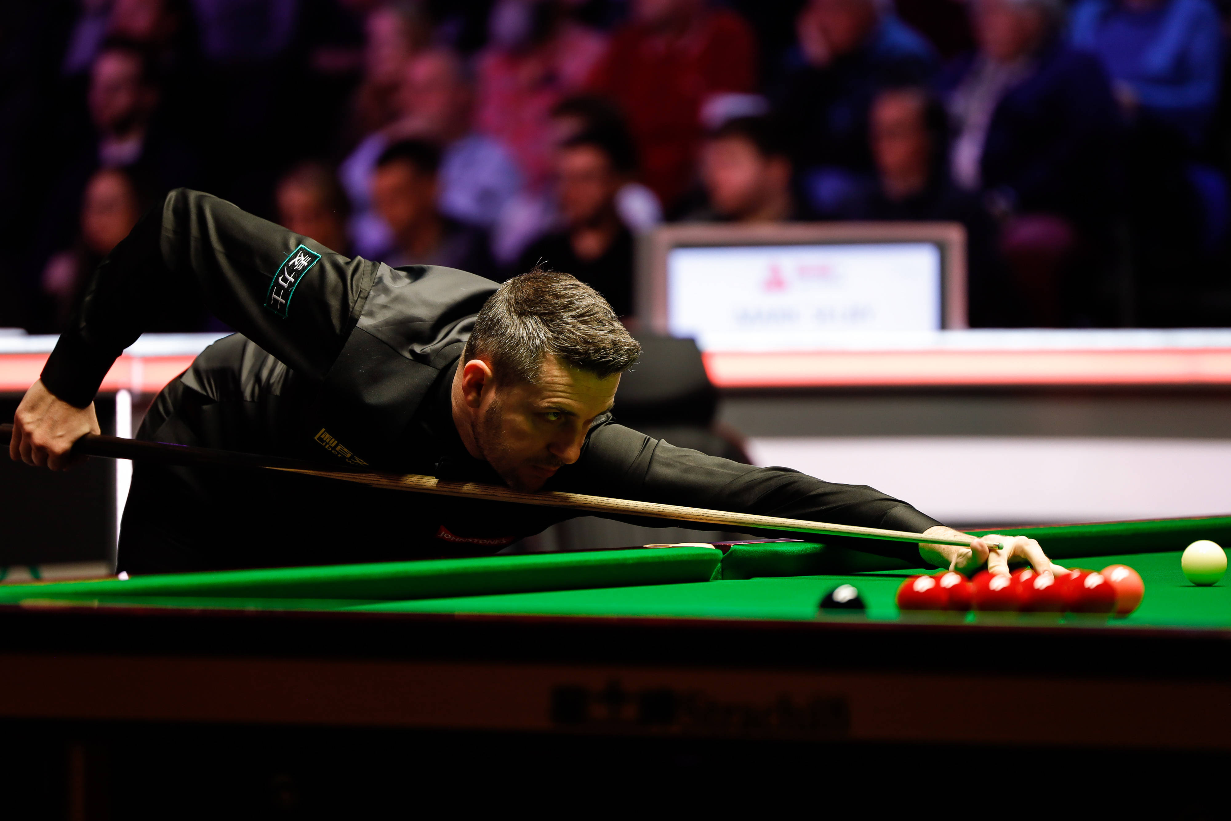 双搞笑属性 双搞笑属性