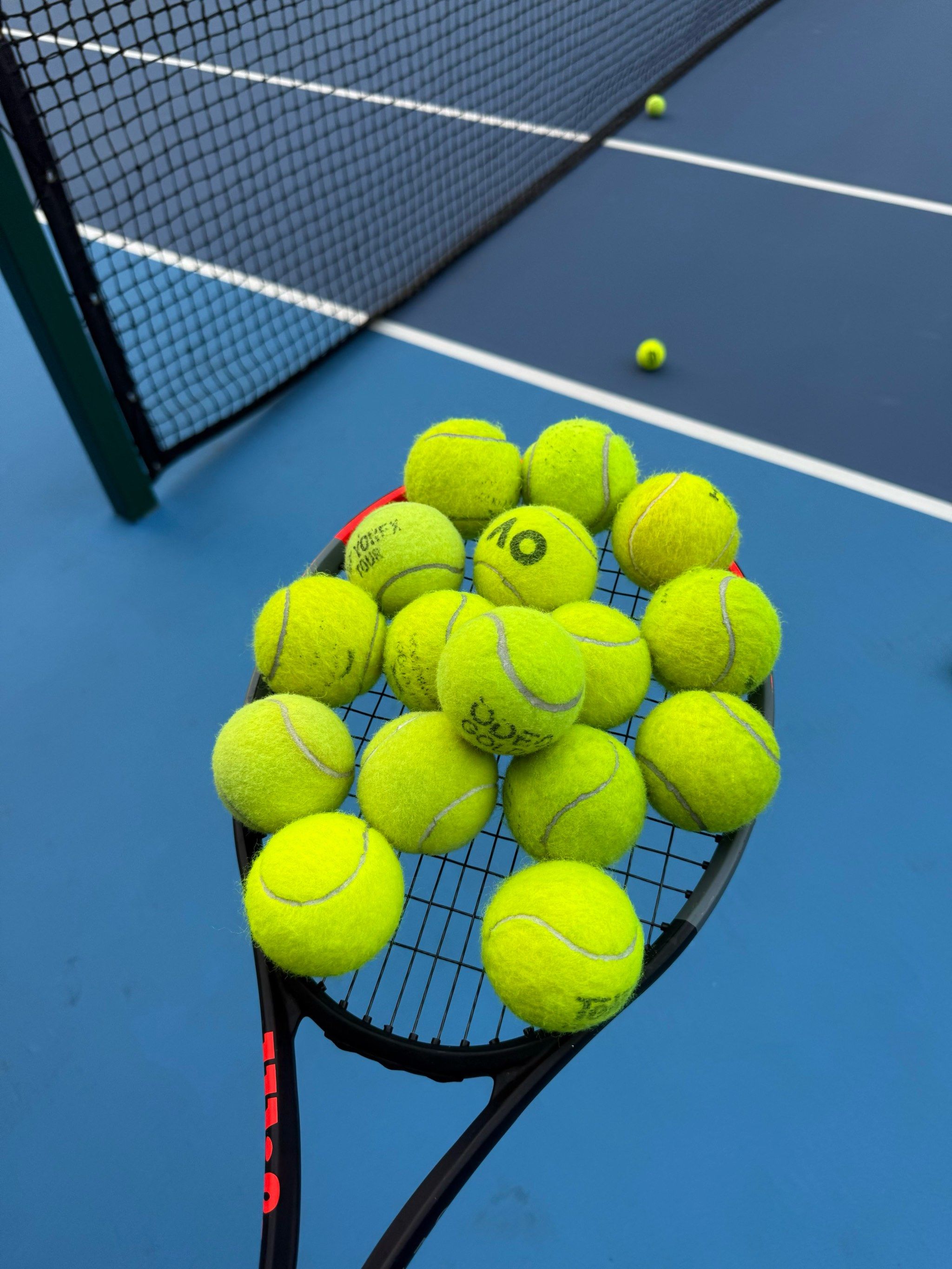 迎接新的荣 迎接新的荣